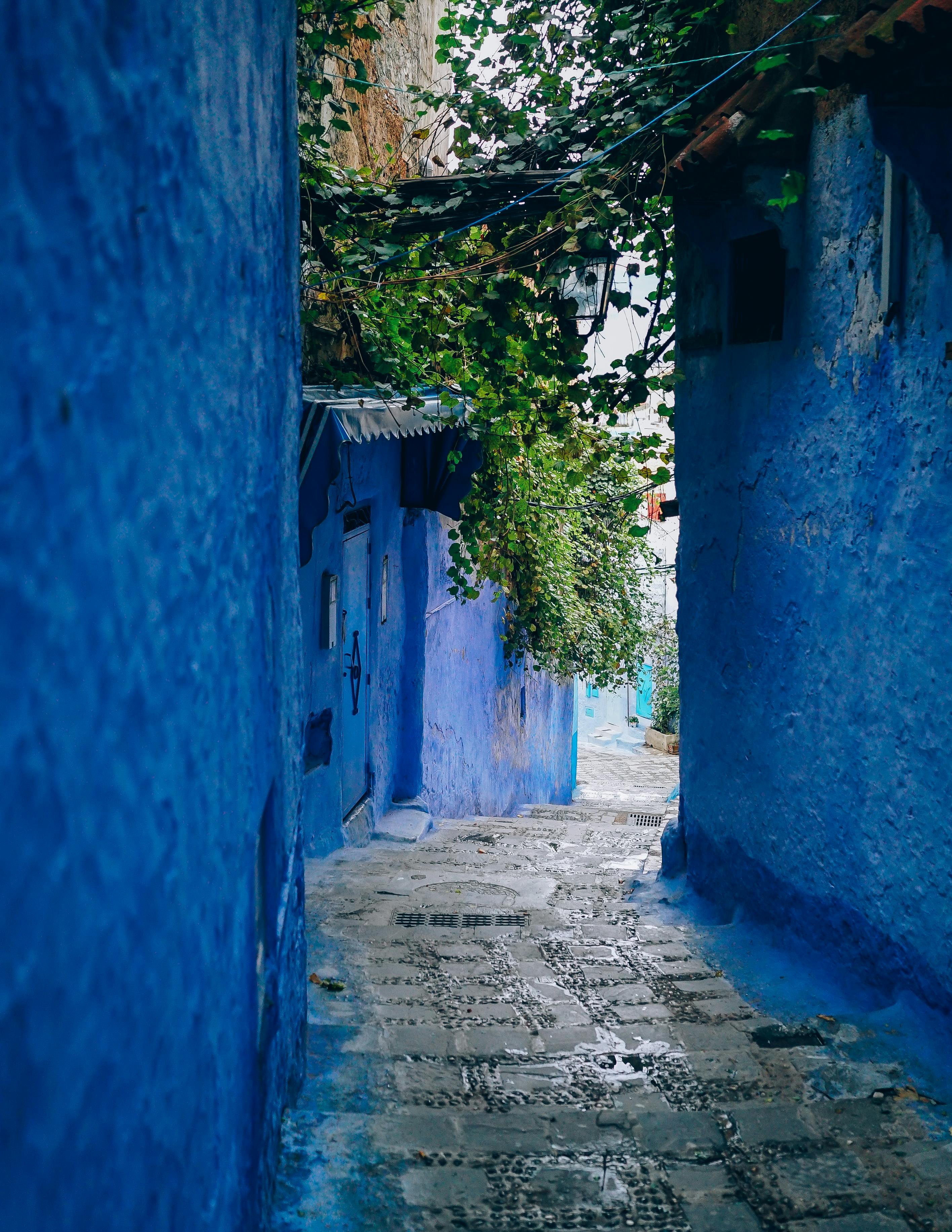 Foto de Ricky Esquivel no Pexels: https://www.pexels.com/pt-br/foto/blue-wall-alley-1580173/